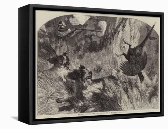 Pheasant-Shooting, Right and Left-Harrison William Weir-Framed Stretched Canvas