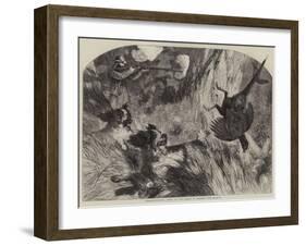 Pheasant-Shooting, Right and Left-Harrison William Weir-Framed Giclee Print