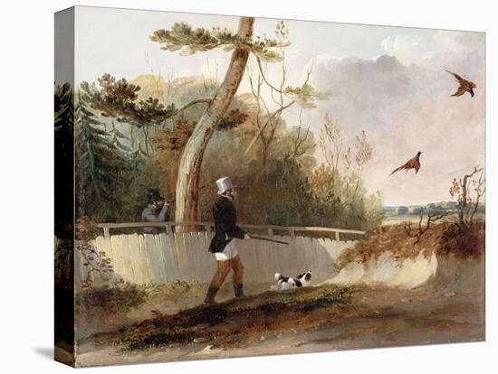 Pheasant Shooting-Samuel John Egbert Jones-Stretched Canvas