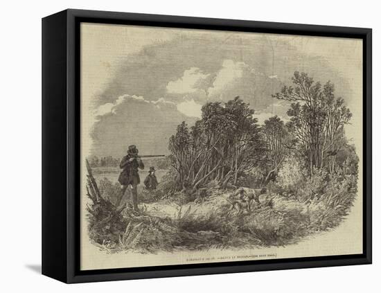 Pheasant-Shooting-null-Framed Stretched Canvas