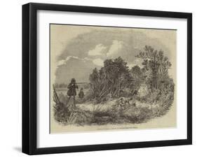 Pheasant-Shooting-null-Framed Giclee Print