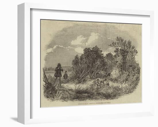 Pheasant-Shooting-null-Framed Giclee Print