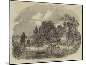 Pheasant-Shooting-null-Mounted Giclee Print