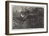 Pheasant-Shooting-null-Framed Giclee Print