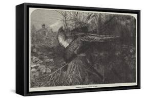 Pheasant-Shooting-null-Framed Stretched Canvas