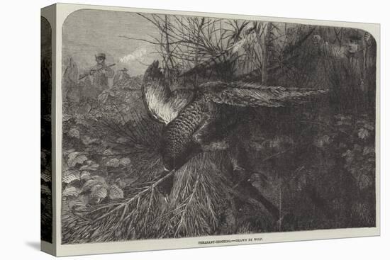 Pheasant-Shooting-null-Stretched Canvas