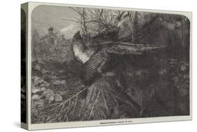 Pheasant-Shooting-null-Stretched Canvas