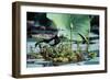 Pheasant-Tailed Jacana-null-Framed Photographic Print