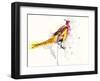 Pheasant-Karin Johannesson-Framed Art Print