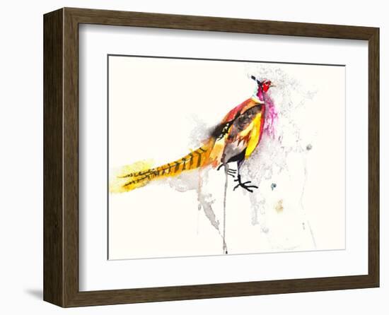 Pheasant-Karin Johannesson-Framed Art Print