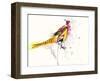 Pheasant-Karin Johannesson-Framed Art Print