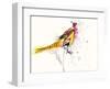 Pheasant-Karin Johannesson-Framed Art Print