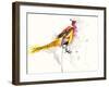 Pheasant-Karin Johannesson-Framed Art Print