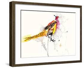 Pheasant-Karin Johannesson-Framed Art Print