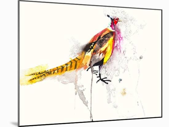 Pheasant-Karin Johannesson-Mounted Art Print