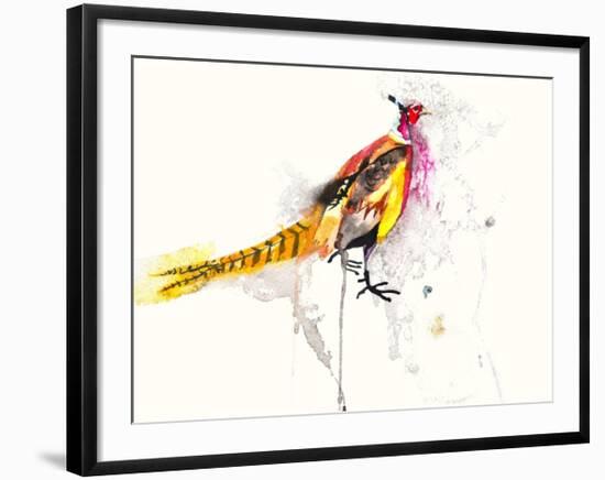 Pheasant-Karin Johannesson-Framed Art Print