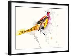 Pheasant-Karin Johannesson-Framed Art Print