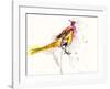 Pheasant-Karin Johannesson-Framed Art Print