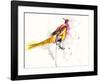 Pheasant-Karin Johannesson-Framed Art Print