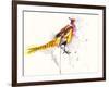 Pheasant-Karin Johannesson-Framed Art Print