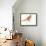 Pheasant-Karin Johannesson-Framed Stretched Canvas displayed on a wall