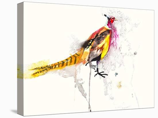 Pheasant-Karin Johannesson-Stretched Canvas