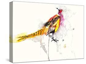 Pheasant-Karin Johannesson-Stretched Canvas
