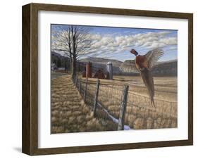 Pheasant-Bruce Dumas-Framed Giclee Print