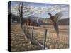 Pheasant-Bruce Dumas-Stretched Canvas