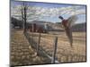 Pheasant-Bruce Dumas-Mounted Giclee Print