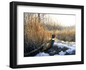 Pheasant-Rusty Frentner-Framed Premium Giclee Print
