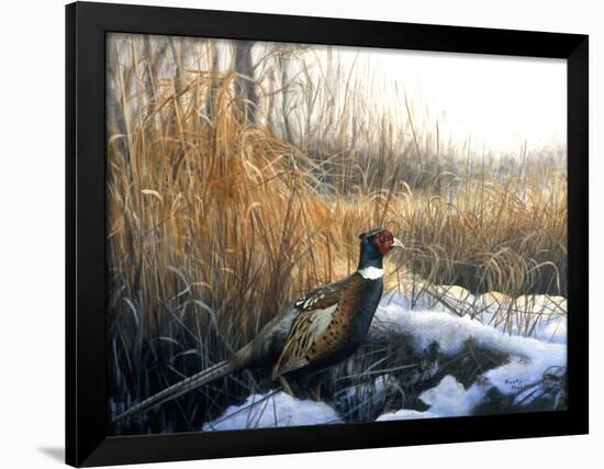 Pheasant-Rusty Frentner-Framed Giclee Print