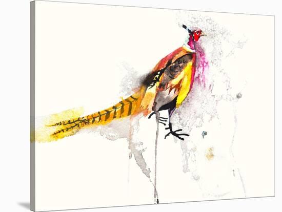 Pheasant-Karin Johannesson-Stretched Canvas