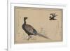 Pheasant-null-Framed Premium Giclee Print