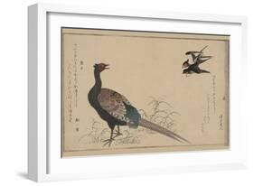 Pheasant-null-Framed Art Print