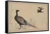 Pheasant-null-Framed Stretched Canvas