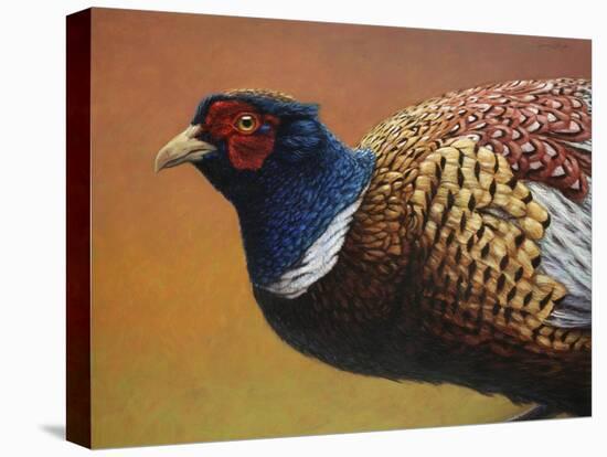 Pheasant-James W. Johnson-Stretched Canvas