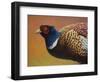 Pheasant-James W. Johnson-Framed Premium Giclee Print