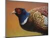 Pheasant-James W. Johnson-Mounted Premium Giclee Print