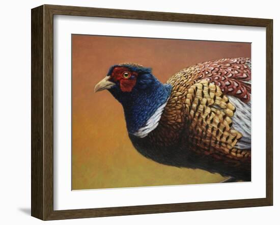 Pheasant-James W. Johnson-Framed Giclee Print