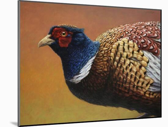 Pheasant-James W. Johnson-Mounted Giclee Print