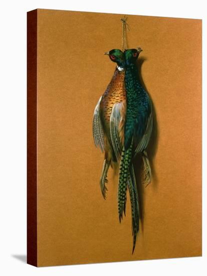 Pheasants, 1984-Lincoln Taber-Stretched Canvas