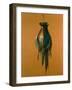 Pheasants, 1984-Lincoln Taber-Framed Giclee Print