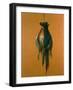 Pheasants, 1984-Lincoln Taber-Framed Giclee Print