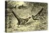 Pheasants Austria 1891-null-Stretched Canvas