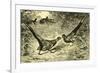 Pheasants Austria 1891-null-Framed Giclee Print