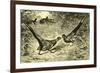 Pheasants Austria 1891-null-Framed Giclee Print