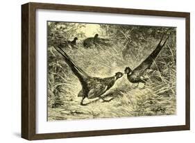 Pheasants Austria 1891-null-Framed Giclee Print