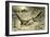 Pheasants Austria 1891-null-Framed Giclee Print