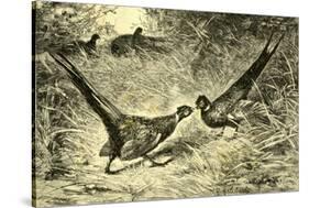 Pheasants Austria 1891-null-Stretched Canvas